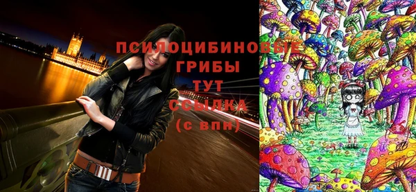 мяу мяу мука Волоколамск