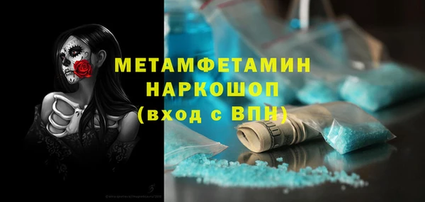 гидра Володарск