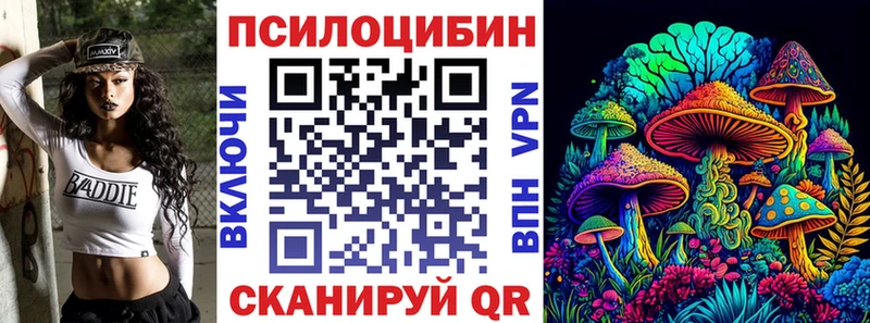 Купить закладки  Полесск  Псилоцибиновые грибы GOLDEN TEACHER 